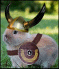 Merlin the Warrior Bunny