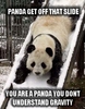 a silly panda