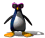 a Cool Penguin chillin'