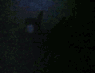 Ghost face in the dark?
