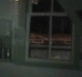 Ghost walks past window?