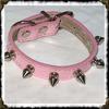 Lavish pink collar