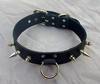 Black spiked collar