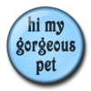 hi my gorgeous pet