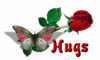 ~~HUGS~~