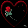 a rose with love 4 u