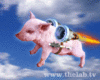 Pigs can Fly