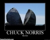 Caution  Chuck Norris