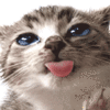 Licked all over ♥  