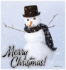 Frosty greetings; Warm heart !