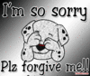 Forgive me