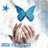 live as free as a butterfly