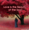 love is the beauty of soul