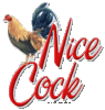 ~Nice Cock~