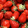 ♥fresh strawberry for you♥