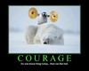 Courage for my Pet
