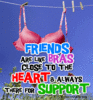 Friends are like bras 