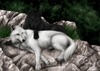 wolf hugs