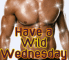 have a wild wednesday hun