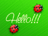 ♥a quick hello♥ 
