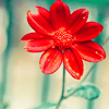 ♥ you are so wonderful♥
