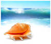 ♥ beauty from the  sea♥
