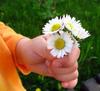  ♥ flowers for my sweet friend
