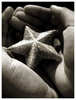 ♥ adored like a star♥