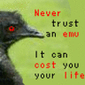 Evil Bird Advice