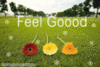 ~Feel good~