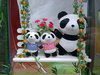 Pandas'  Family