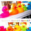 Quack≈ Quack≈ Quack≈