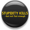 Stupidity kills