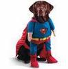 Your one super pet!