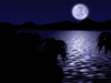 moon light