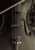 Sweet symphonies