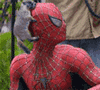 my spidey scenses are tingling