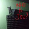 Who Is You ?