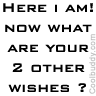 What are your 2 other wishes?