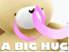 ♥ A Big Hug ♥