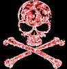 skull and crossbones 