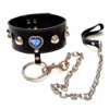 luxurious collar and leash