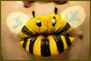 Bee kissed !