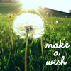 ★Make a wish★