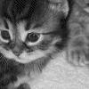 You Are Adorable~♥
