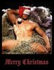 Have A Sexy Holiday