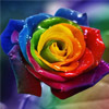 have a beautiful day 