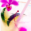 tropical drink  