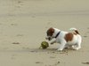 playing on the beach