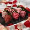 A Sweet Treat For My Pet